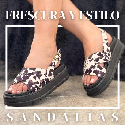 gid://shopify/MediaImage/24907493933150